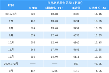 日用品行业深度研究报告 零售市场现状、趋势与机遇分析