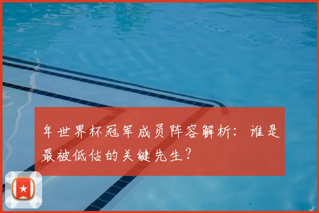 年世界杯冠军成员阵容解析:谁是最被低估的关键先生?