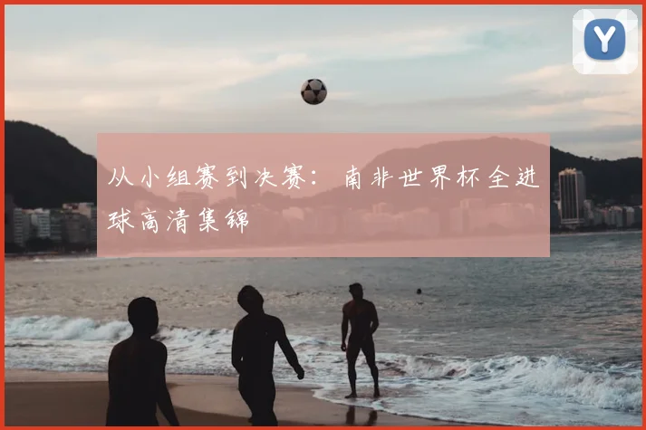 从小组赛到决赛：南非世界杯全进球高清集锦