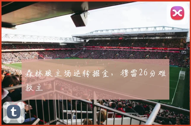 森林狼主场逆转掘金，穆雷26分难救主