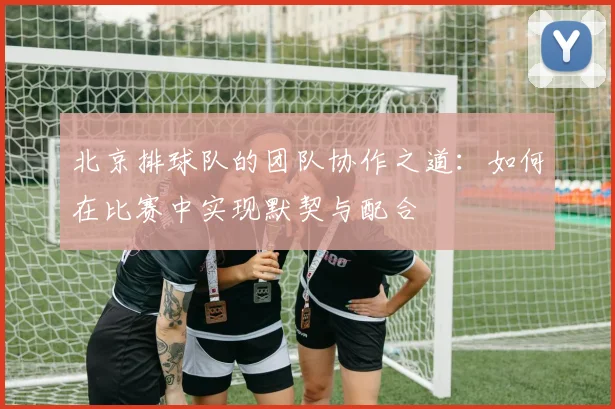 北京排球队的团队协作之道：如何在比赛中实现默契与配合