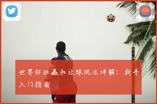 世界杯独赢和让球玩法详解：新手入门指南
