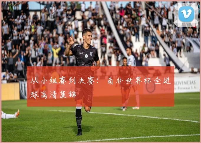 从小组赛到决赛：南非世界杯全进球高清集锦