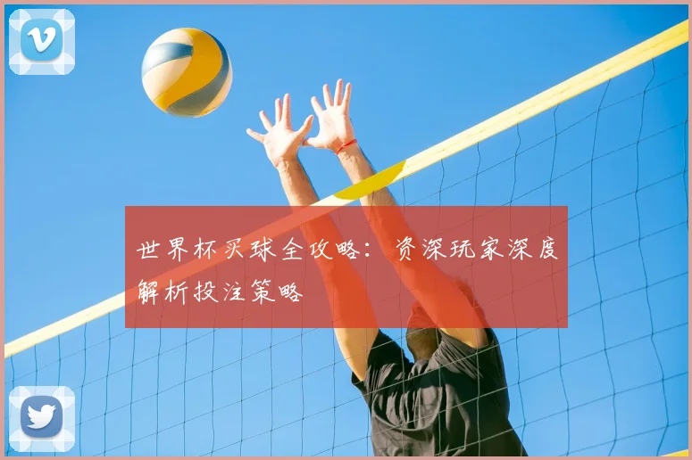 世界杯买球全攻略：资深玩家深度解析投注策略