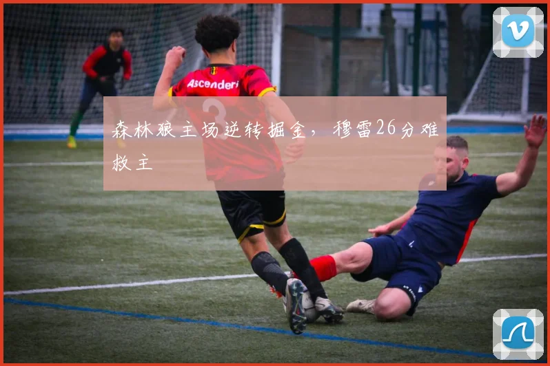 森林狼主场逆转掘金，穆雷26分难救主