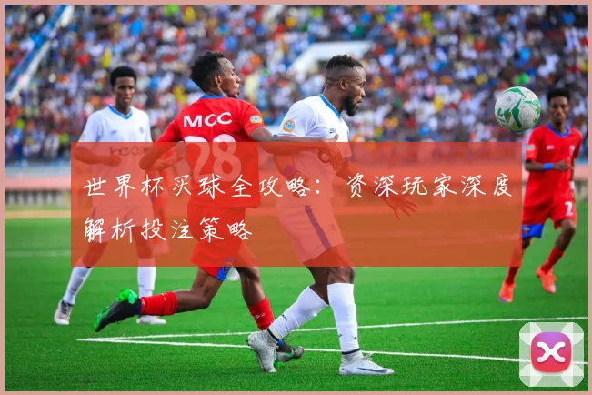 世界杯买球全攻略：资深玩家深度解析投注策略