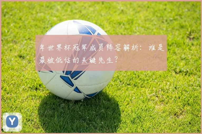 年世界杯冠军成员阵容解析:谁是最被低估的关键先生?