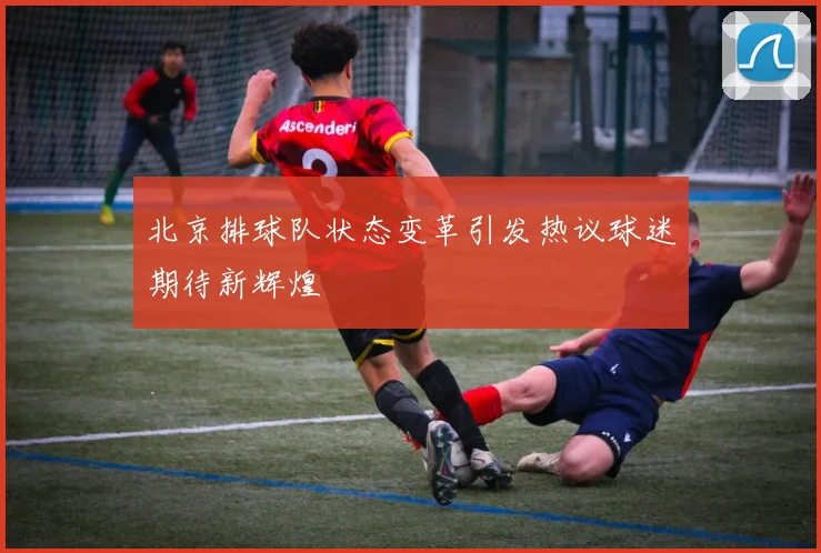北京排球队状态变革引发热议球迷期待新辉煌