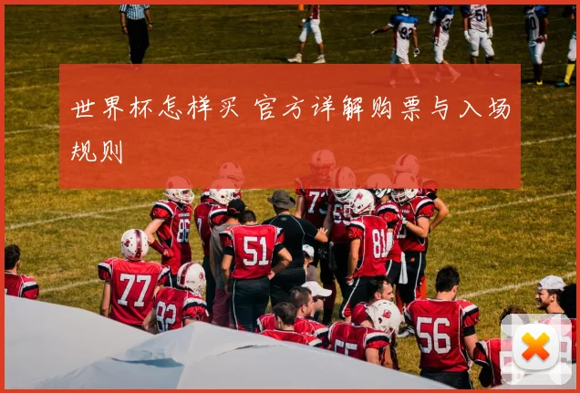 世界杯怎样买 官方详解购票与入场规则