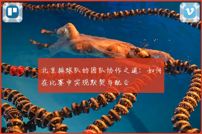 北京排球队的团队协作之道：如何在比赛中实现默契与配合