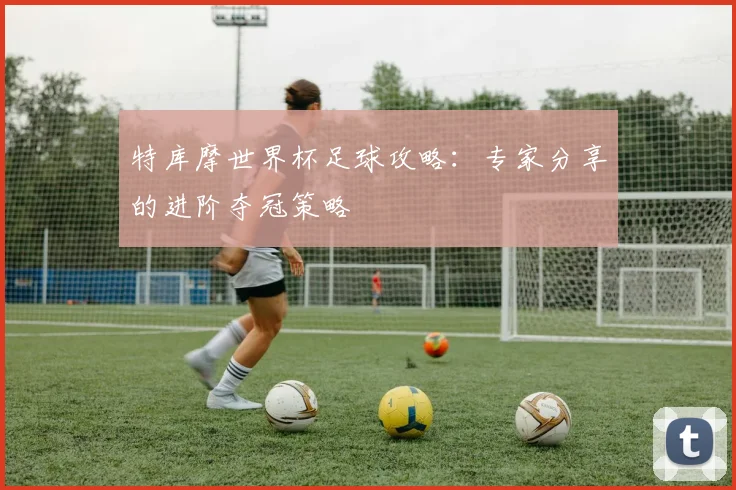 特库摩世界杯足球攻略：专家分享的进阶夺冠策略